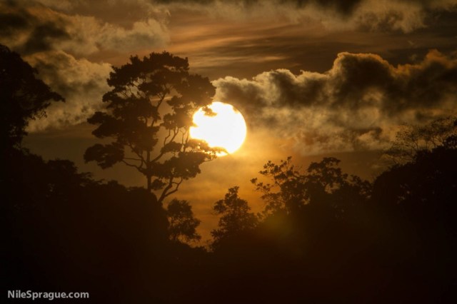 Photo: Sunset over Amazon jungle, near Iquitos, Peru