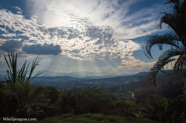 Vista with hills, sun behind clouds and palm fronds, Tarapoto, Peru