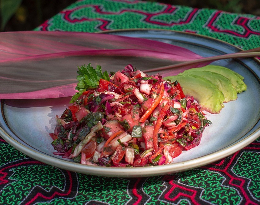 AYAHUASCA DIET RECIPE BOOK Ayahuasca Retreat in Peru at AYAHUASCA DIET RECIPE BOOK Ayahuasca Retreat in Peru at