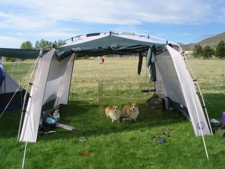 Our Agility Tent