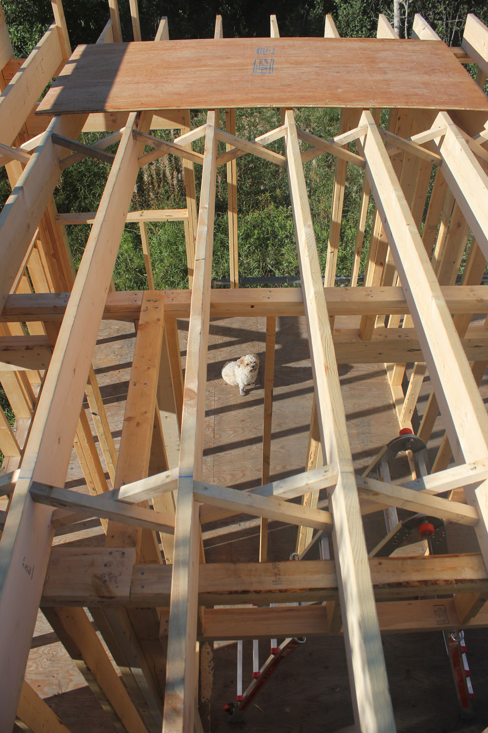Cabin Loft Flooring Nine Bean Rows time to build the cabin loft flooring
