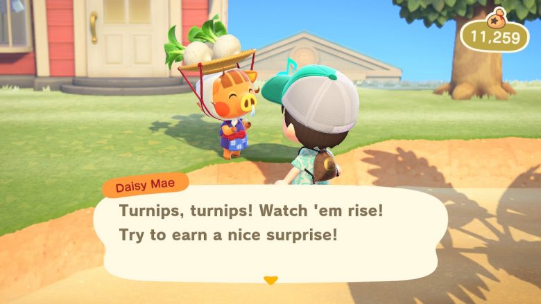 Can You Plant Turnips In Animal Crossing New Horizons Nintendo Insider