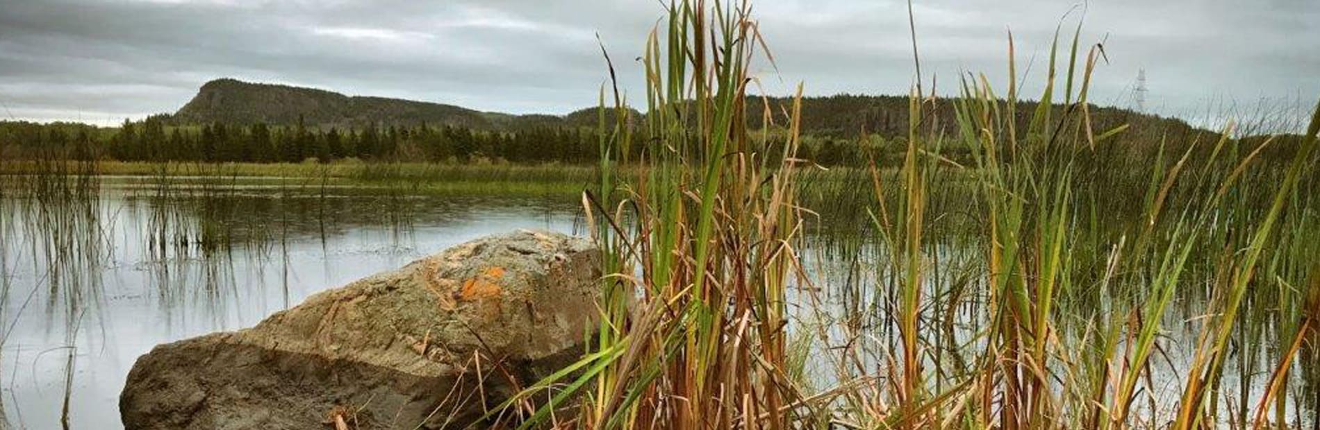 Township of Nipigon Home