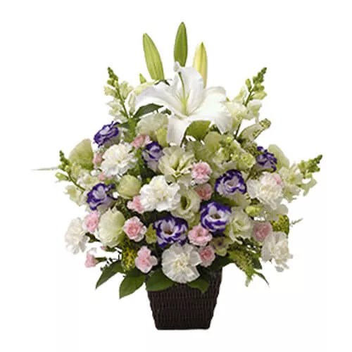 Order Presentation Of Flowers To Japan