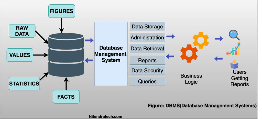 What is a Database and Why it is Important? Facts and Types - Technology and Trends