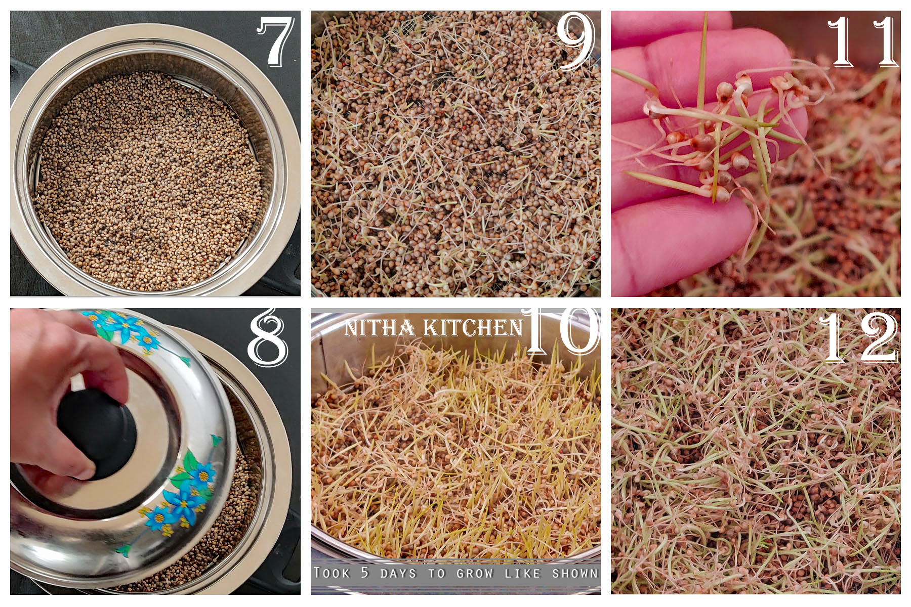 Homegrown Pearl Millet Sprouts Salad Nitha Kitchen