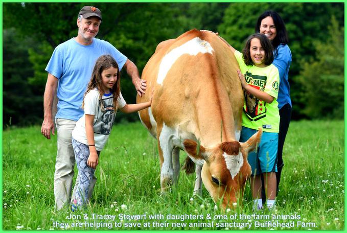 New Jersey Week for the Animals Inspiration