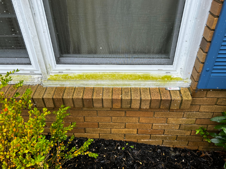House and Deck Cleaning in Manahawkin, NJ Cleanrite Exterior Cleaning LLC