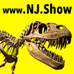 Fosil And Gem Show Raritan Center Nj 2023 Nj Mineral, Fossil, Gem, & Jewelry Show – Nj Expo