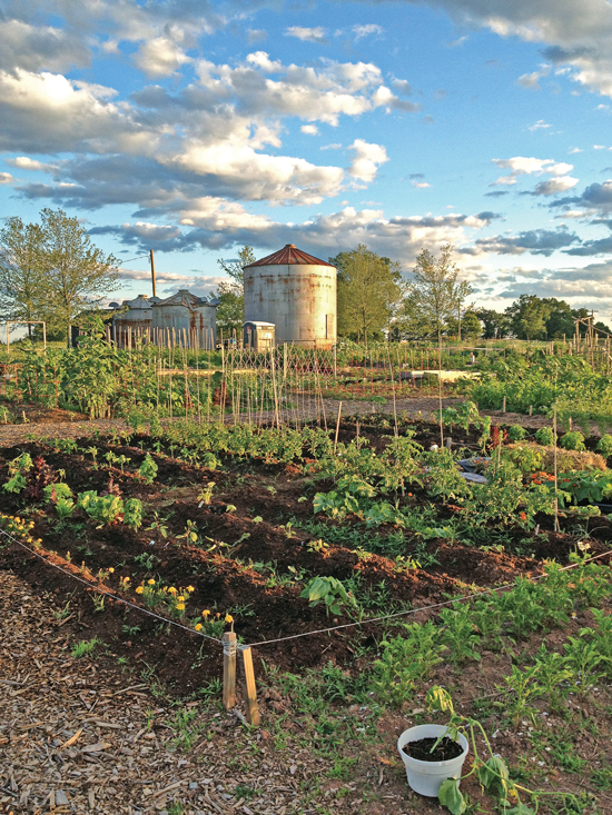 Community Gardens in New Jersey