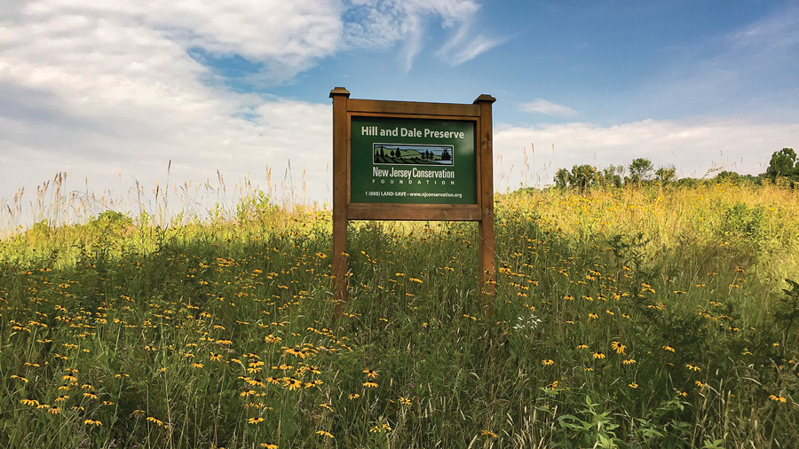 Hill and Dale Preserve in Northwest New Jersey