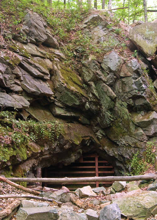 New Jersey Hike at Wildcat Ridge