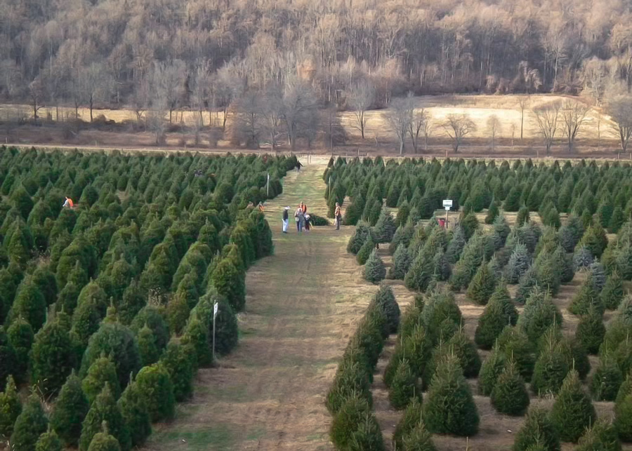 This Week in Northwest New Jersey