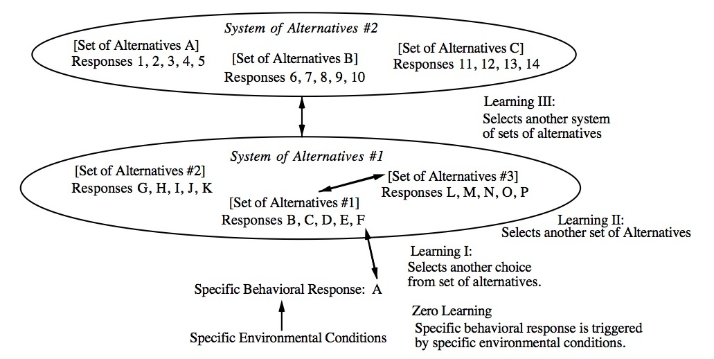 Levels Summary