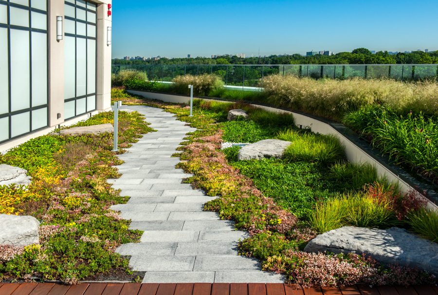 Next Level Stormwater Management Designing extensive and semi