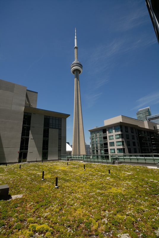 Next Level Stormwater Management City Leads Green Roof Movement