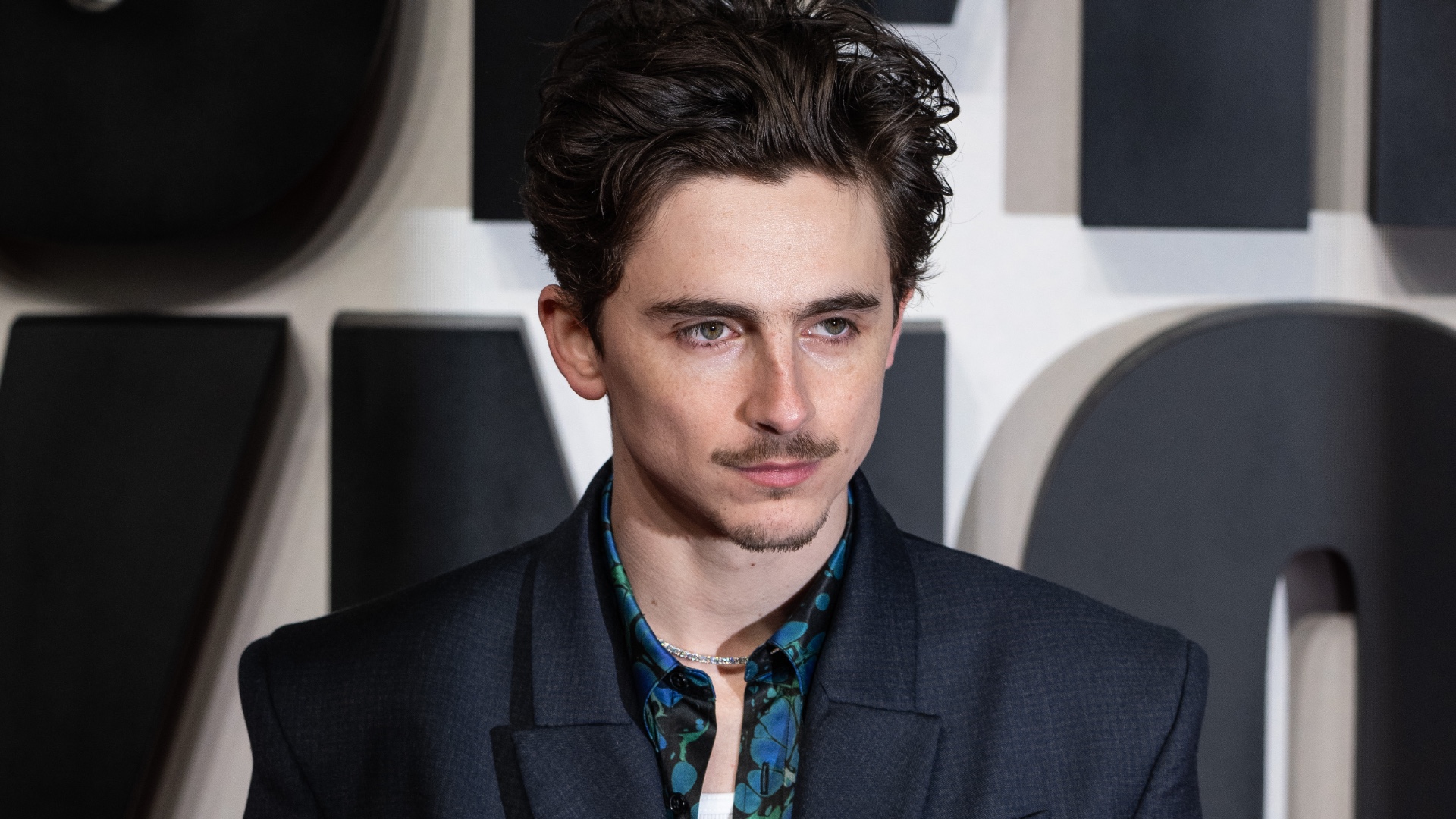 Timothe Chalamet The Rise Of A Generations Icon