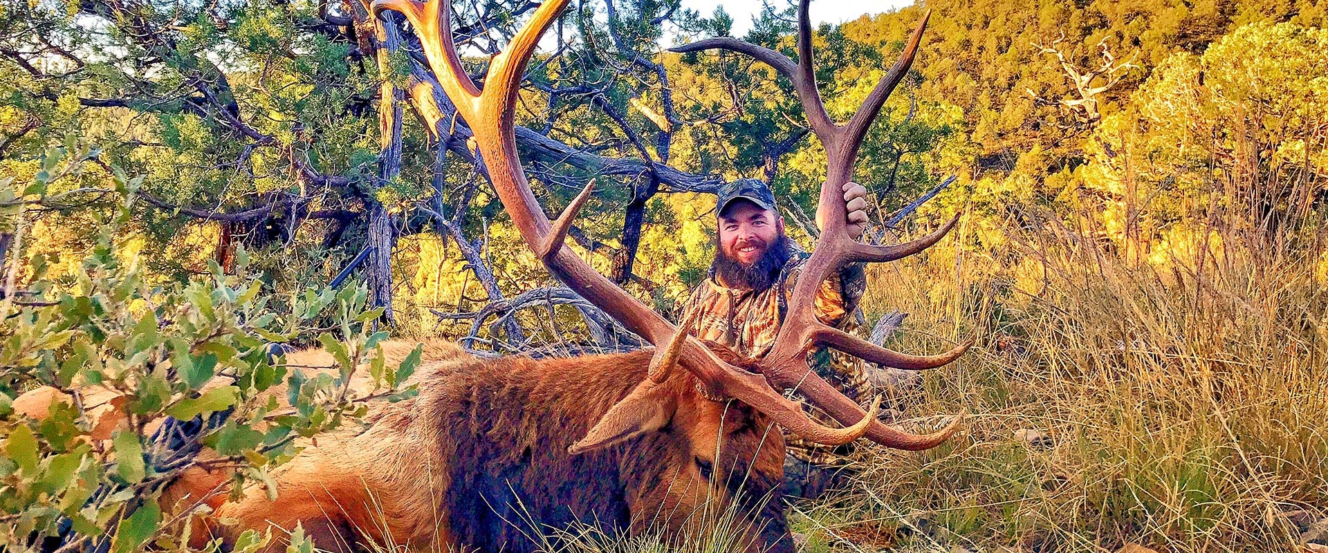 New Mexico Big Game Outfitter Triple C Outfitters