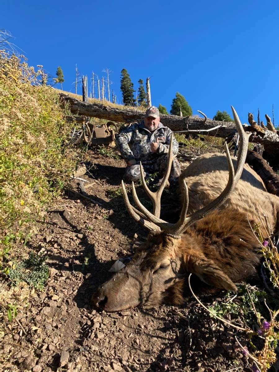 New Mexico Guided Elk Hunts