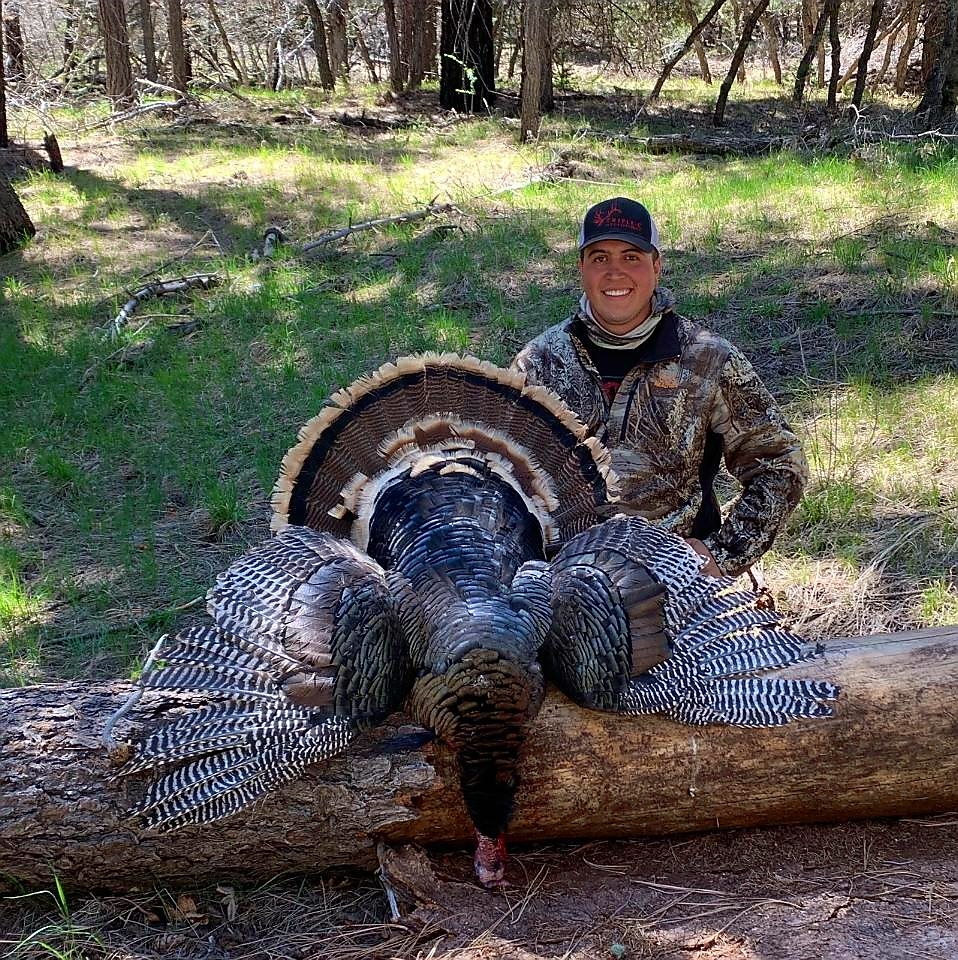 New Mexico Merriam Turkey Hunts Triple C Outfitters