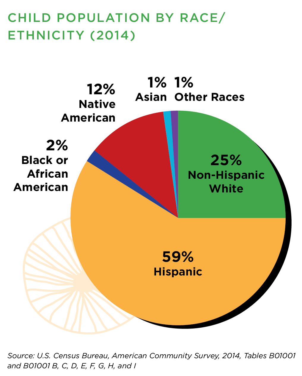 » 2015 KIDS COUNT in New Mexico