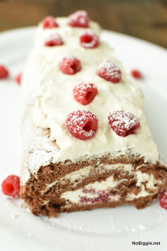 Chocolate Raspberry Angel Food Cake Roll NoBiggie
