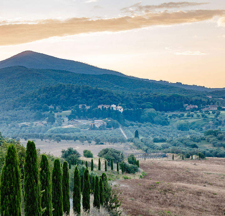 Noble Estates About Us