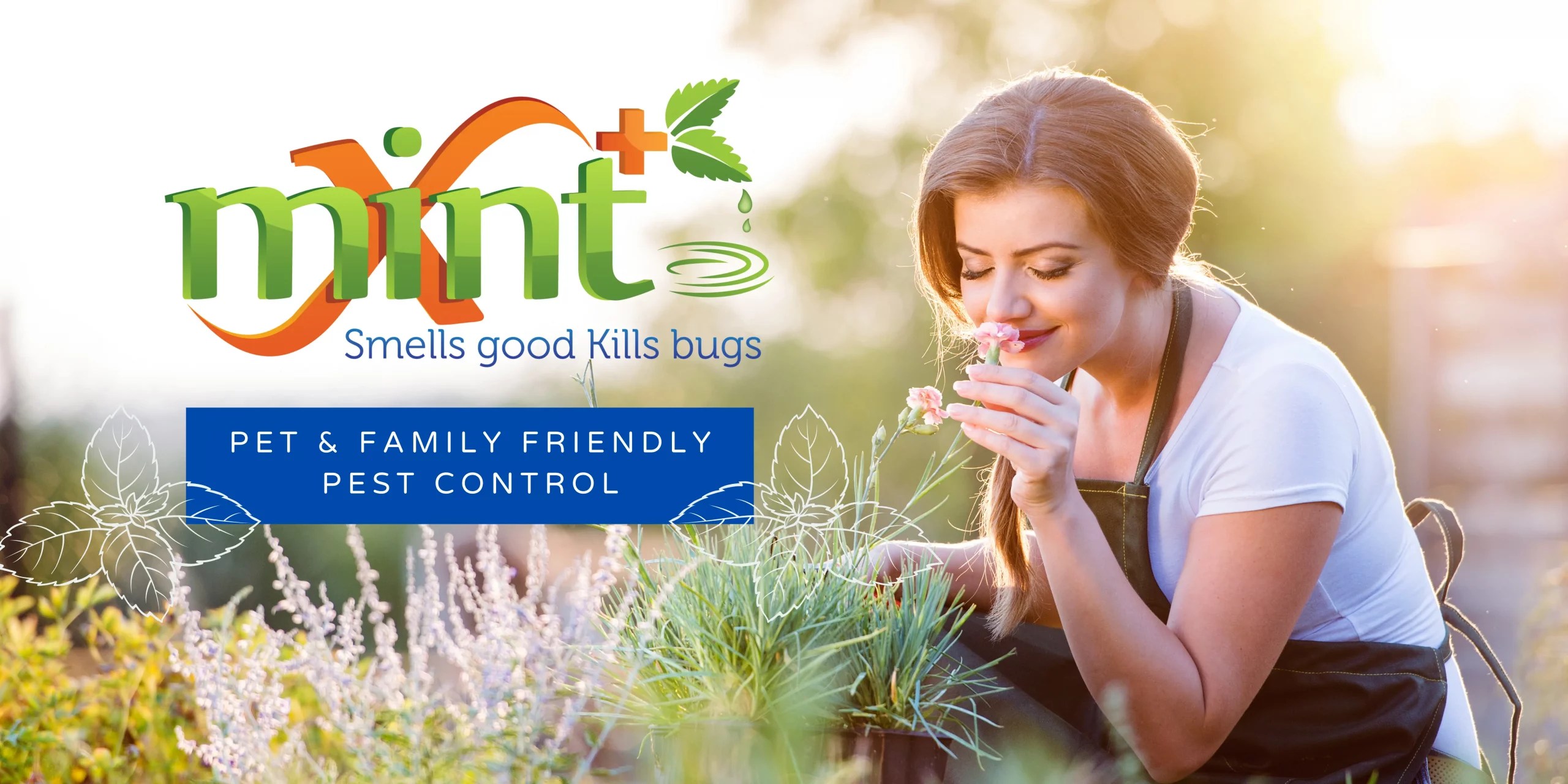 Organic Pest Control in Santa Clarita No Bugs