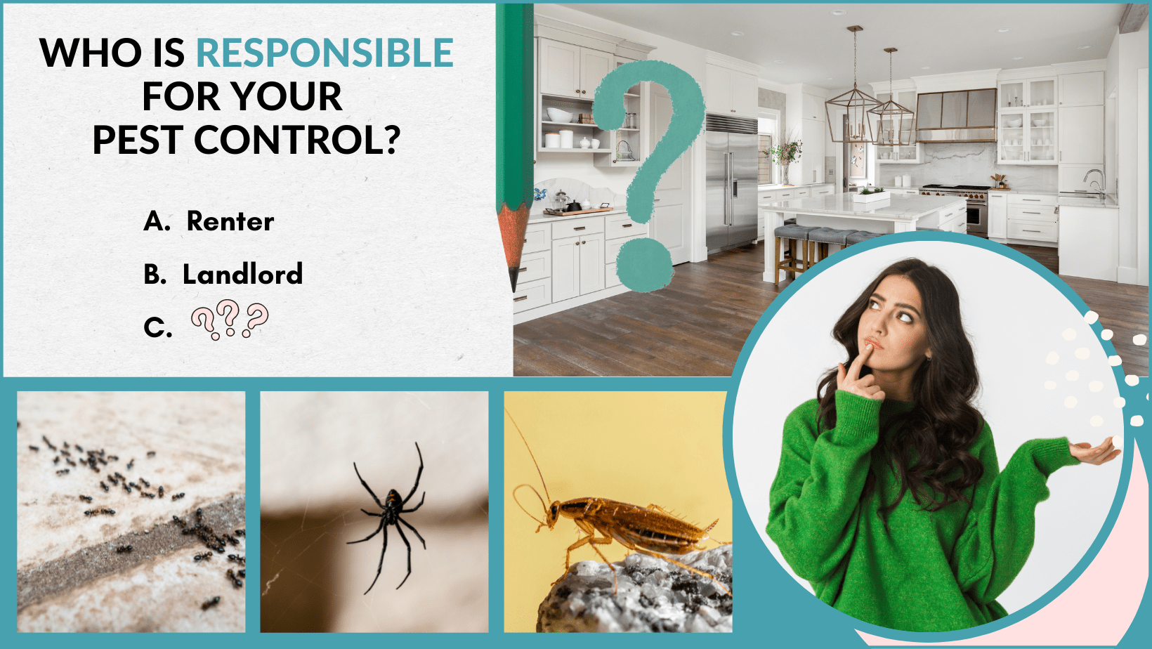 Pest Control Rental Responsibilities No Bugs