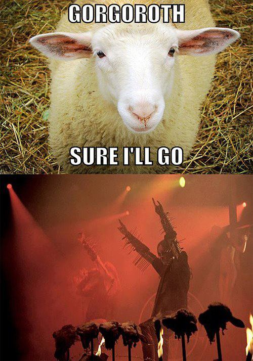 MORNING ROUNDUP THE INIQUITY DESCENT AND VENOMOUS MAXIMUS NO CLEAN