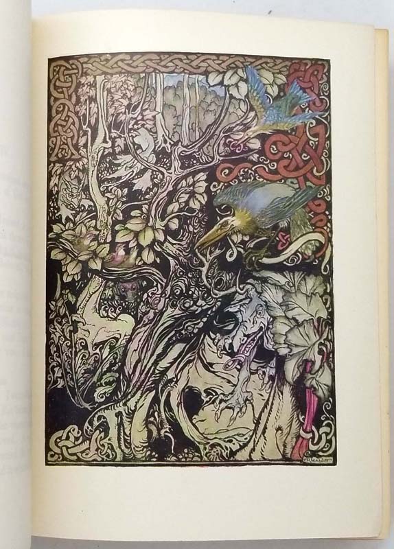 Irish Fairy Tales Arthur Rackham 1920 Rare First Edition Books