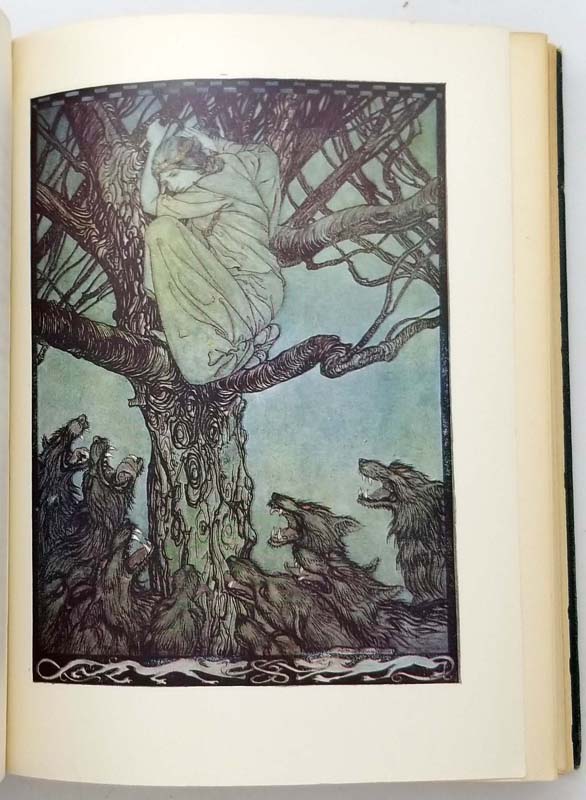 Irish Fairy Tales Arthur Rackham 1920 Rare First Edition Books