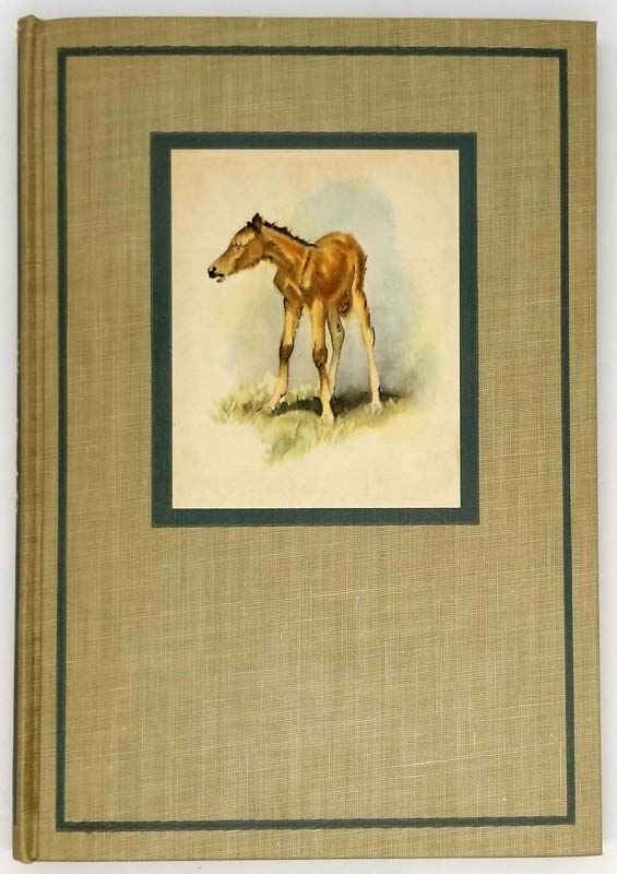 The Red Pony Steinbeck, John Book eBay