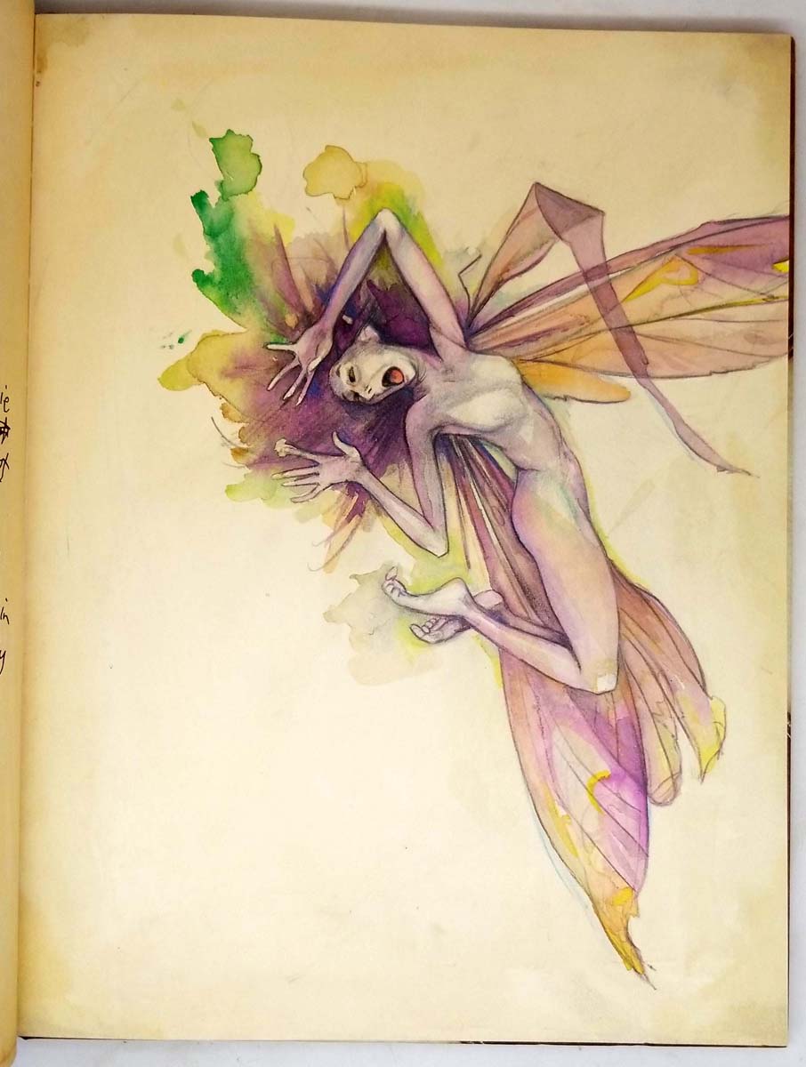 Lady Cottington's Pressed Fairy Book Brian Froud 1998 Rare First