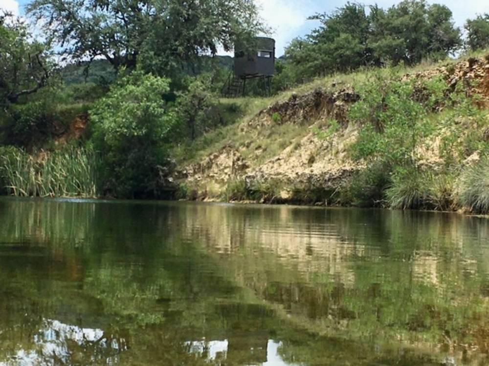 Trophy Gallery Nocona Ranch