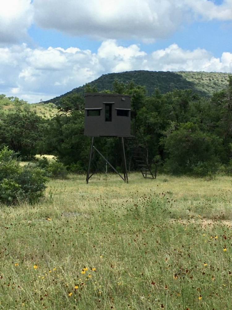 Trophy Gallery Nocona Ranch
