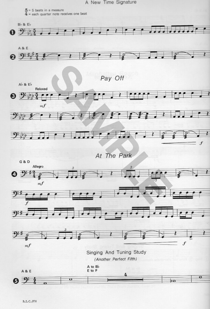 Timpani Student Level 3 Node NodeHuset.dk