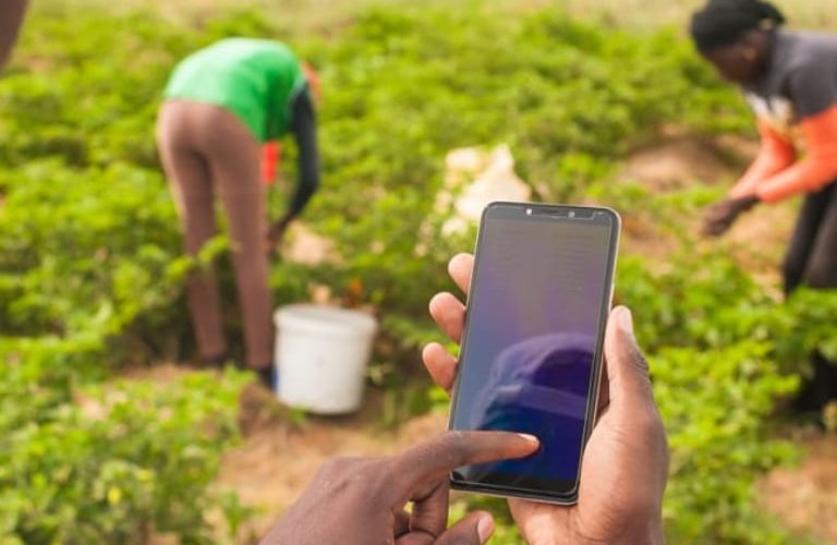 NodeNieuws blockchain met 100 eerlijk eten