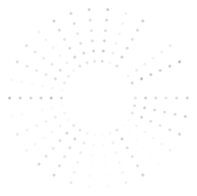 Noel's Christmas Lights Professional Inc