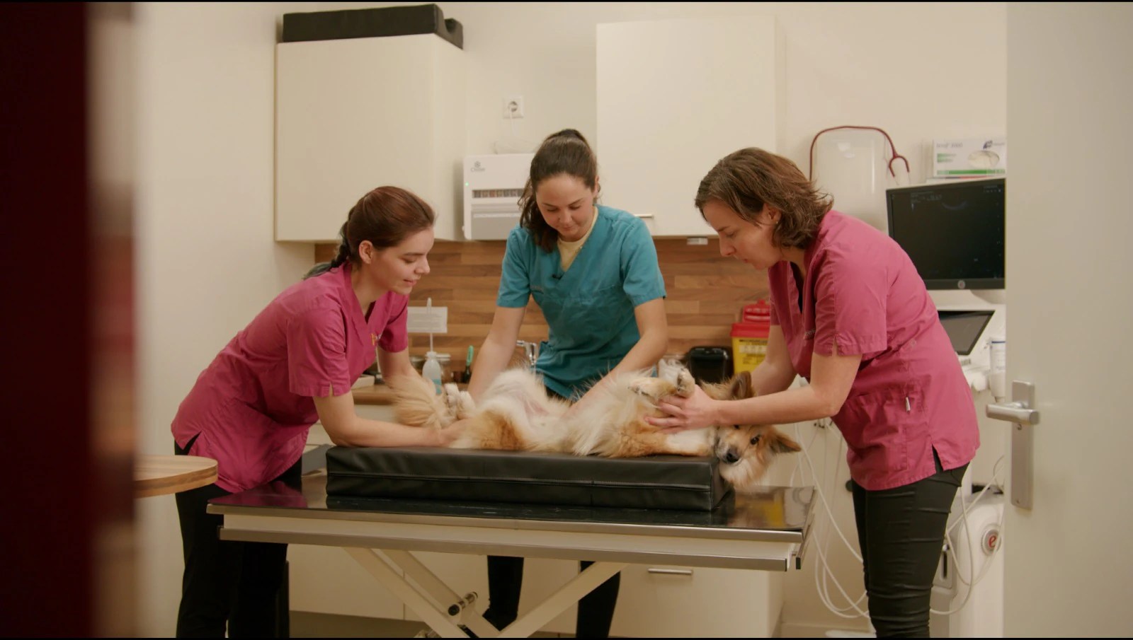 Nokia and KPN successfully trial 25G PON in Rotterdam animal hospital