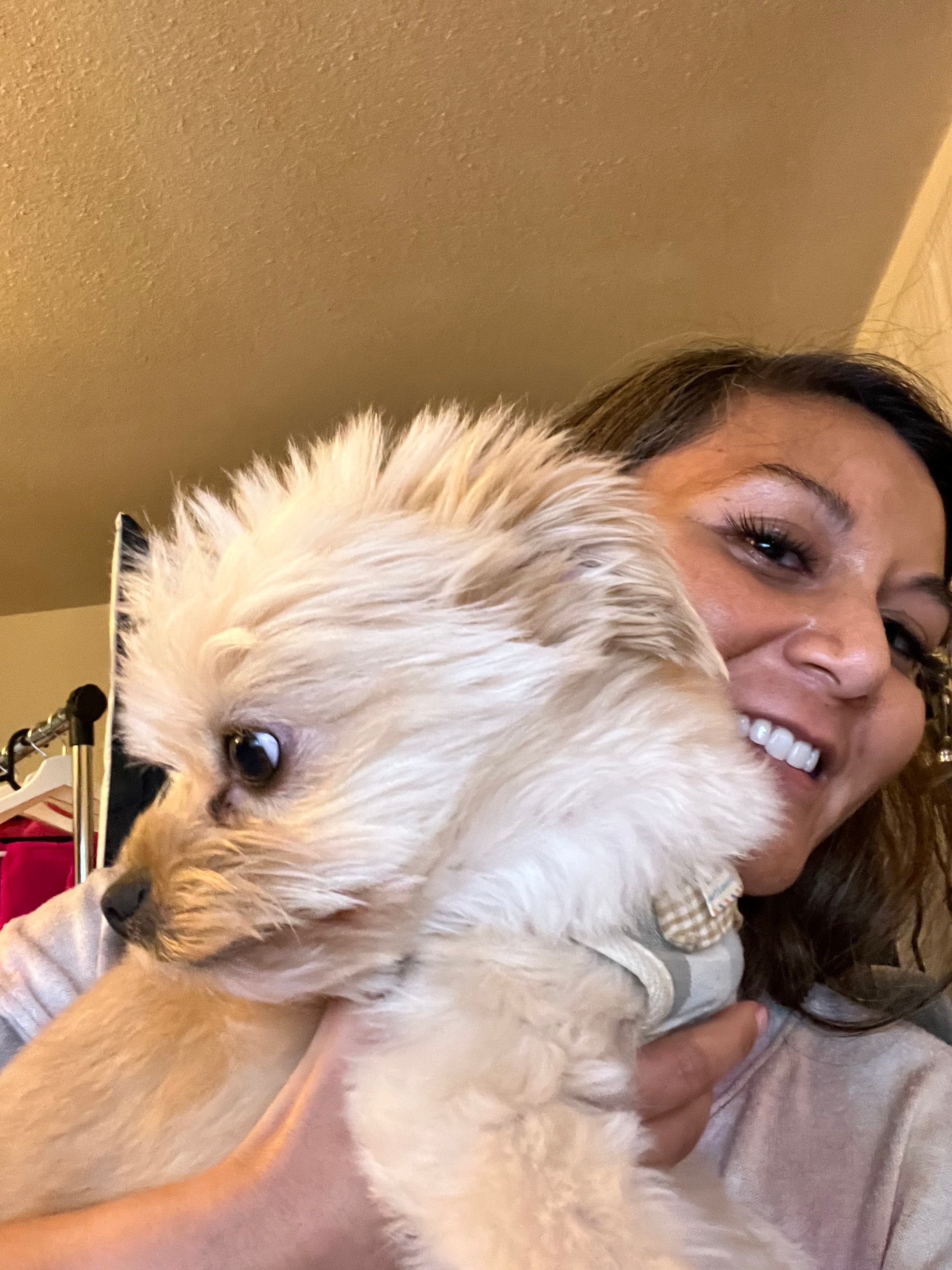 Lost and Found Dogs and Cats in Virginia (pg 1)2000 pets currently