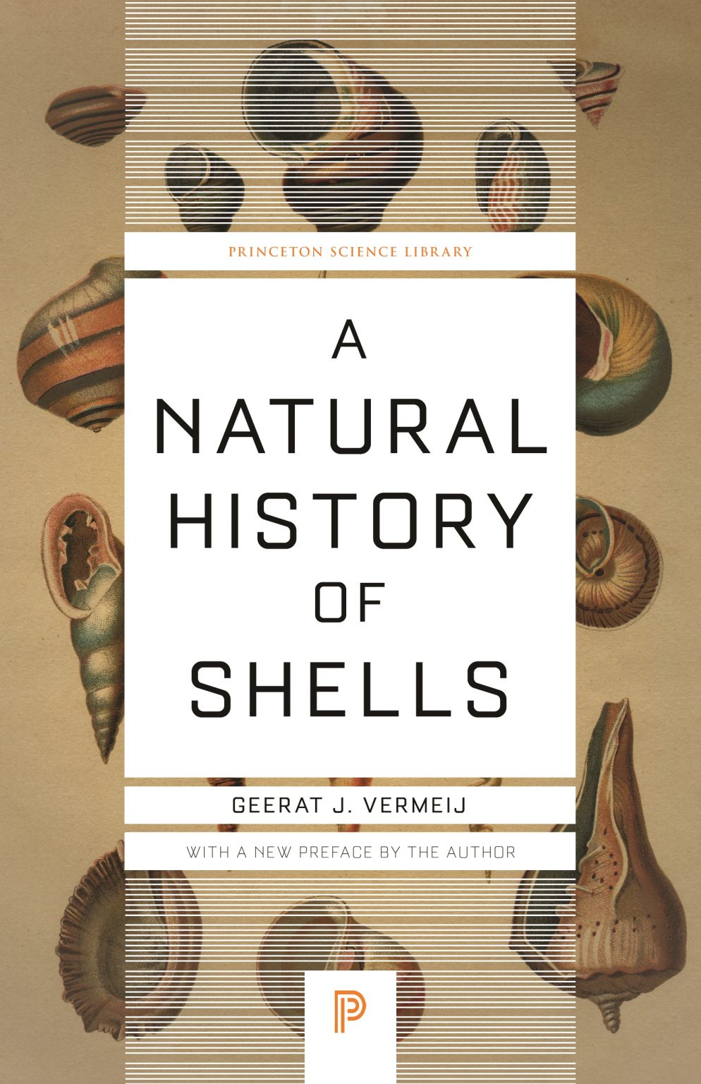 A Natural History of Shells Nokomis