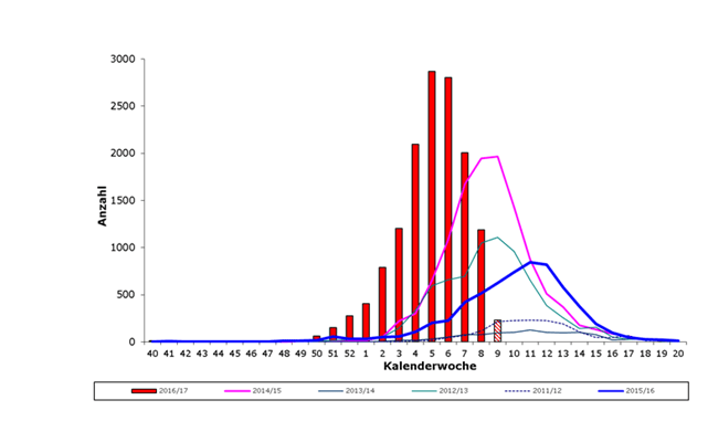 Grippe geht Norovirus bleibt » NOKZEIT