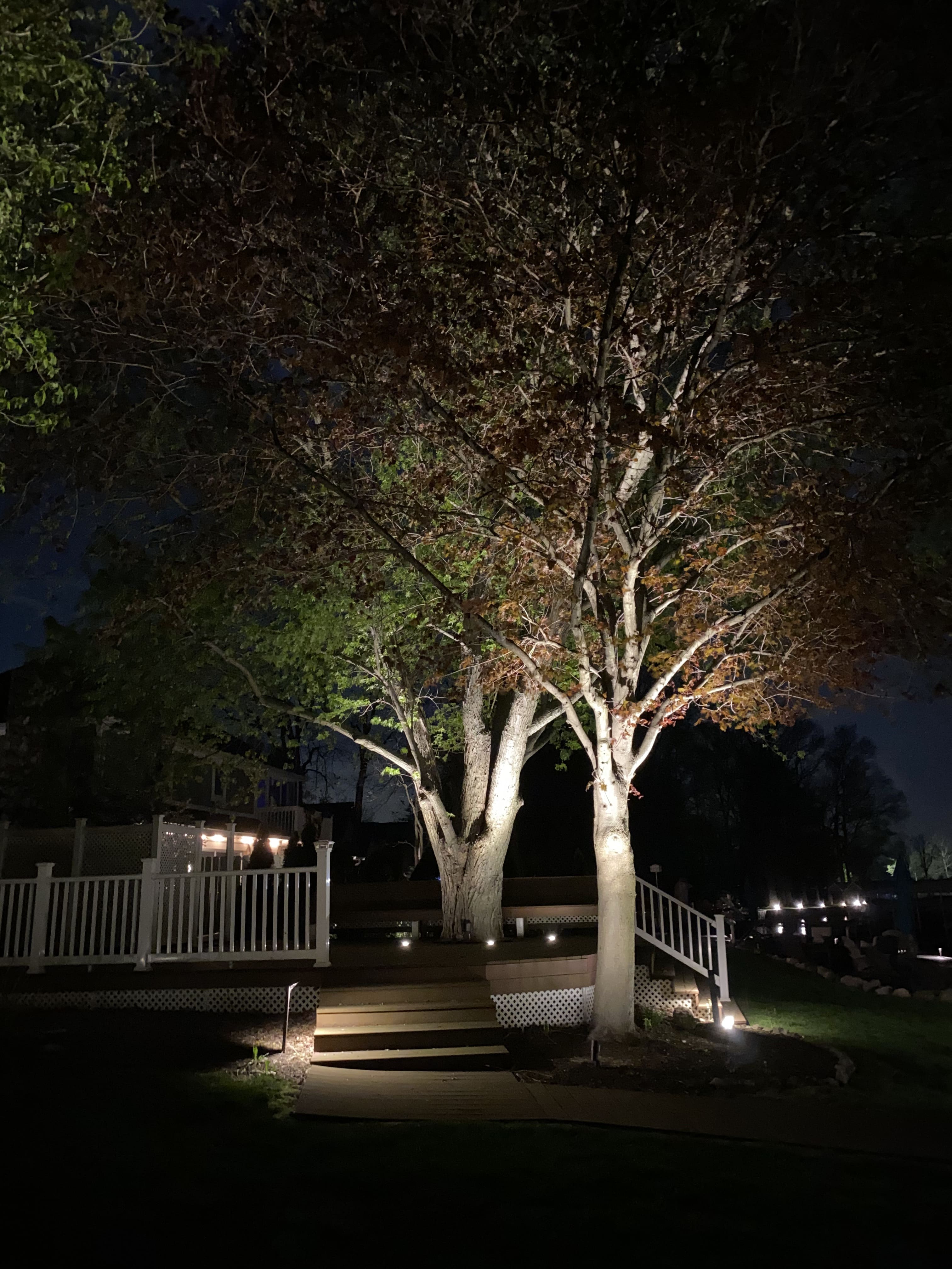Outdoor & Landscape Lighting Solutions in Fishers Indiana