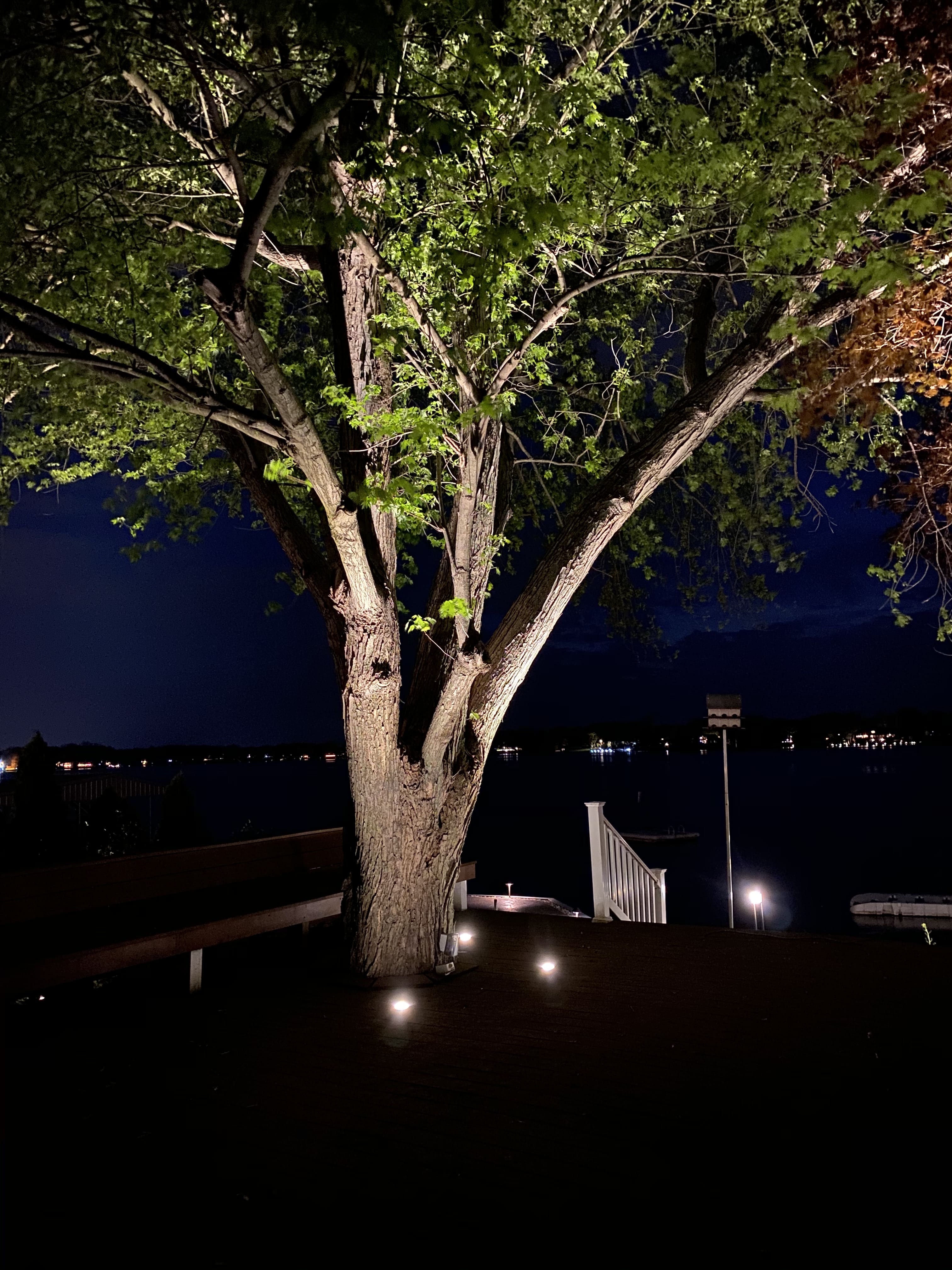 Outdoor & Landscape Lighting Solutions in Fishers Indiana