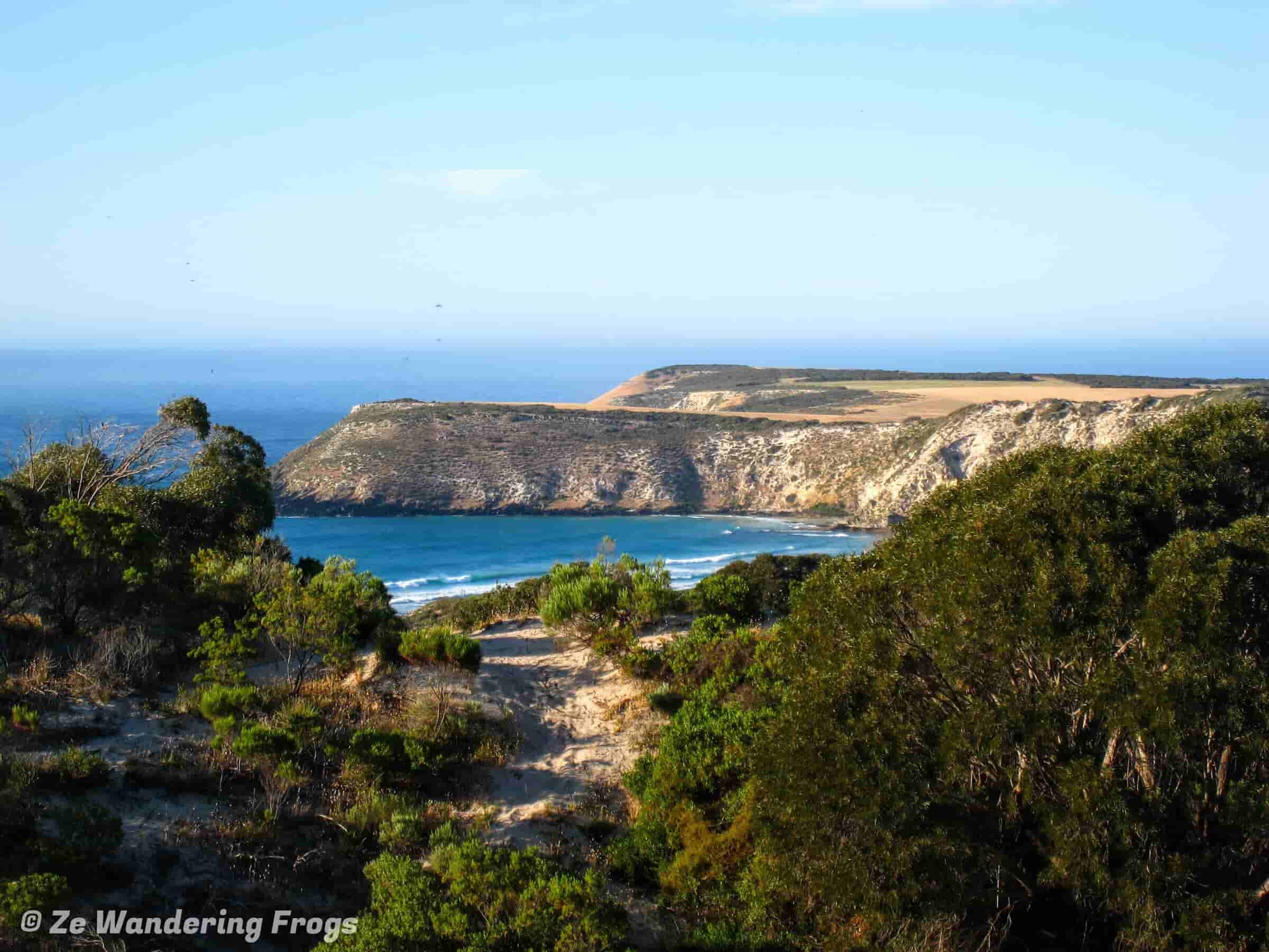 8 AMAZING Things to Do in Kangaroo Island, SA (2024 Guide)