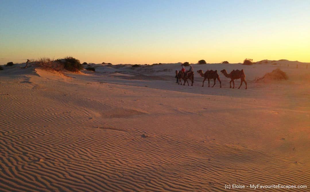 10 Best Things To Do In Port Stephens