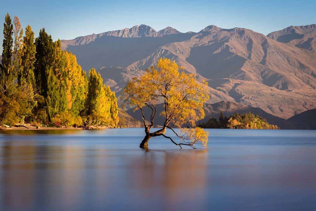 17 AWESOME Things to Do in Wanaka (Epic 2024 Guide)