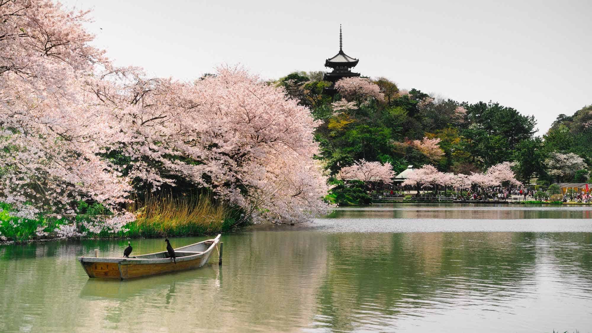 21 Awesome Things To Do In Yokohama, Japan (2021 Guide)