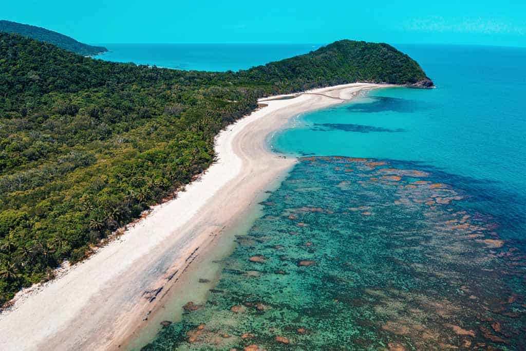 cape tribulation daintree rainforest